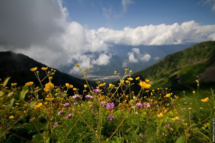 Вид с тропы «Альпийские луга» на долину реки Мзымта, Горки Город