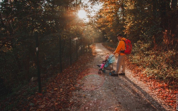 старая дорога Красная Поляна - Эсто-садок, осенью окрашена в яркие краски