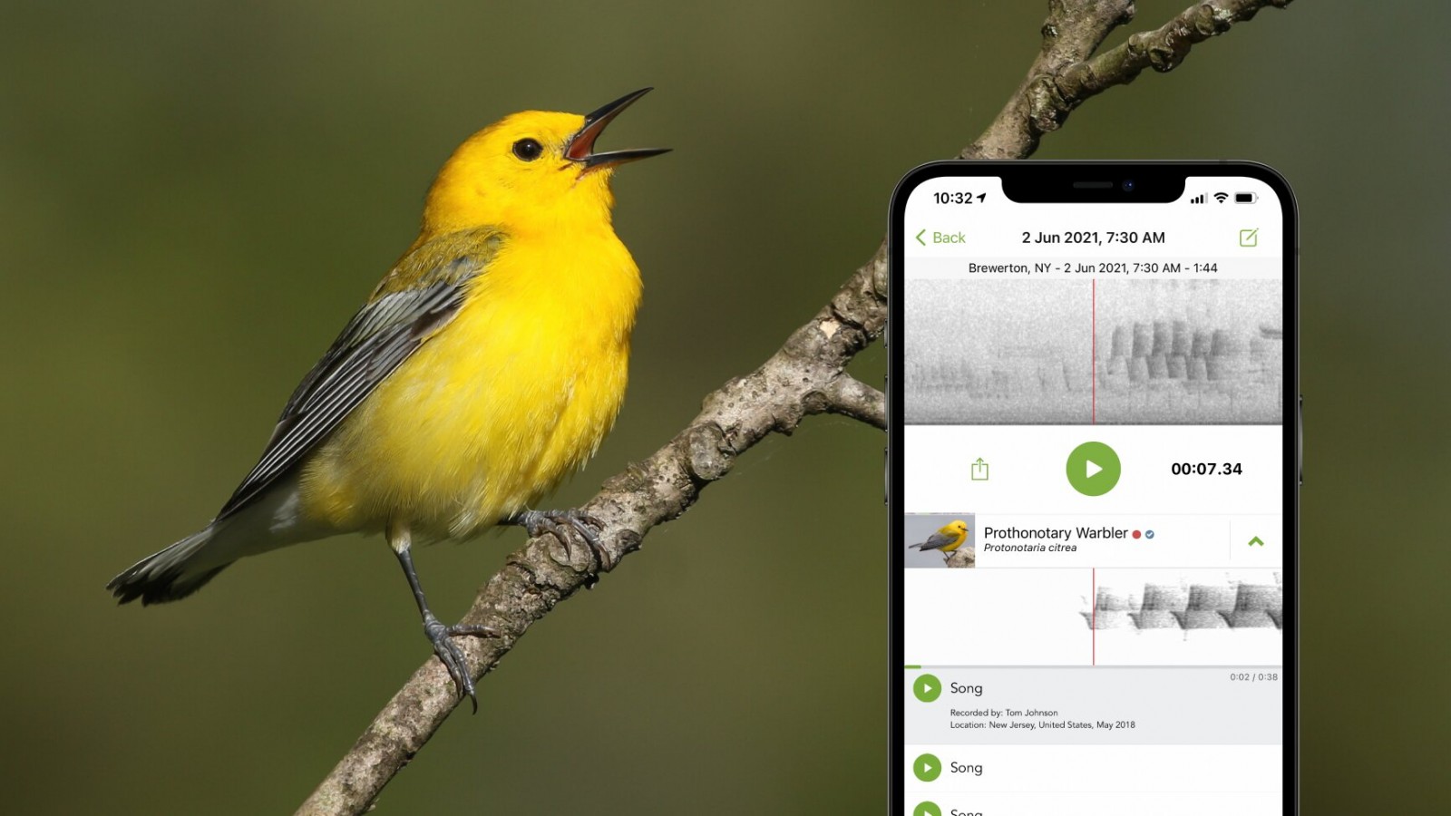 sound-id-ml-prothonotary-warbler.jpg