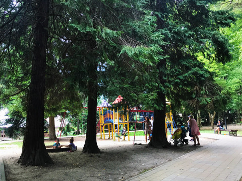 Детская площадка в Красной Поляны