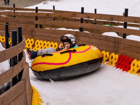 санки в сочи