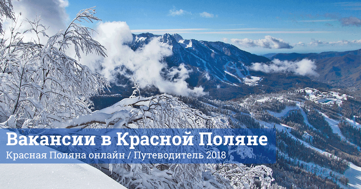 Вакансии в Красной Поляне | Путеводитель по КраснойПоляне